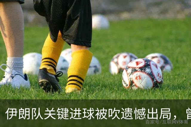 伊朗队关键进球被吹遗憾出局，曾任教哈佛大学的伊朗学者向FIFA索赔10亿美元