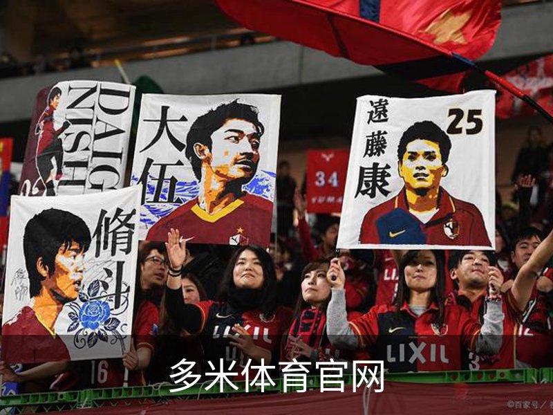 多米体育官网简介
